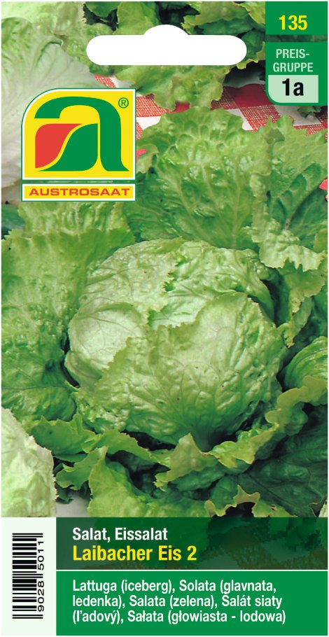 Eissalat Laibacher Eis 2 kaufen