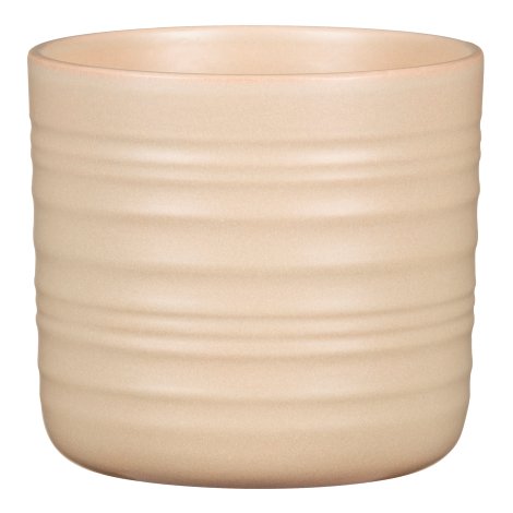 SCHEURICH Übertopf Dry Reed 14 cm