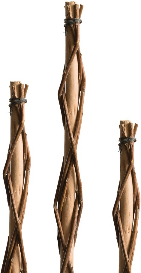 WINDHAGER Pflanzstab SINTRA 160 cm