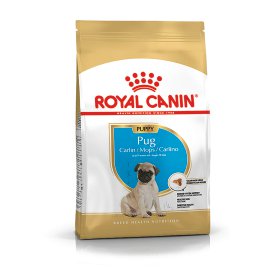 ROYAL CANIN Hundetrockenfutter Mops Junior 1,5 kg