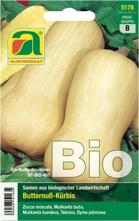 Bio-Kürbis Butternut