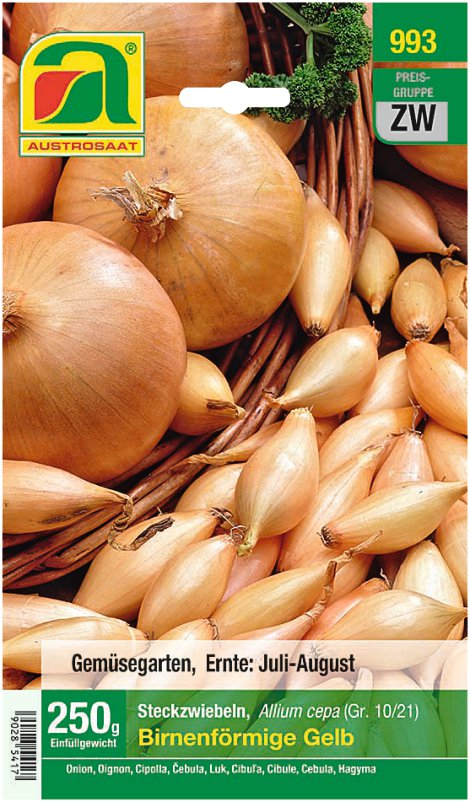 Steckzwiebel gelb, birnenförmig