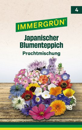 IMMERGRÜN Tütensamen Japanischer Blumenteppich Prachtmischung