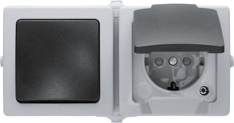 KOPP AP-FR Kombination Schalter/Schutzkontakt-Steckdose Grau