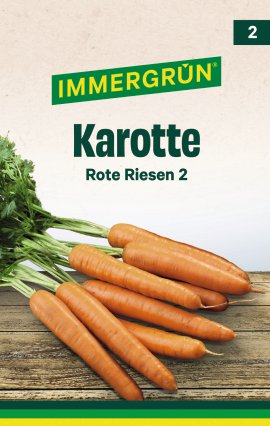 IMMERGRÜN Tütensamen Karotte Rote Riesen 2