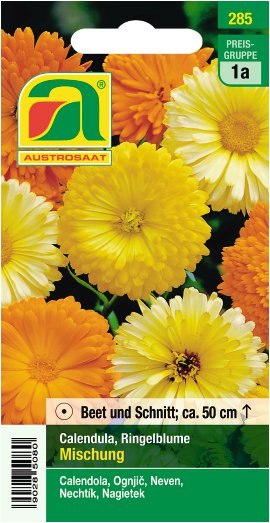 Calendula Ringelblume