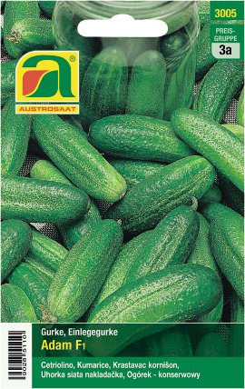 Einlegegurken Adam F1