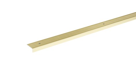 FN Neuhofer Abschlussprofil SF11 schraubbar Champagne 900x24,5x9,5 mm