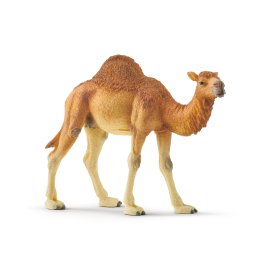 SCHLEICH Figur Dromedar