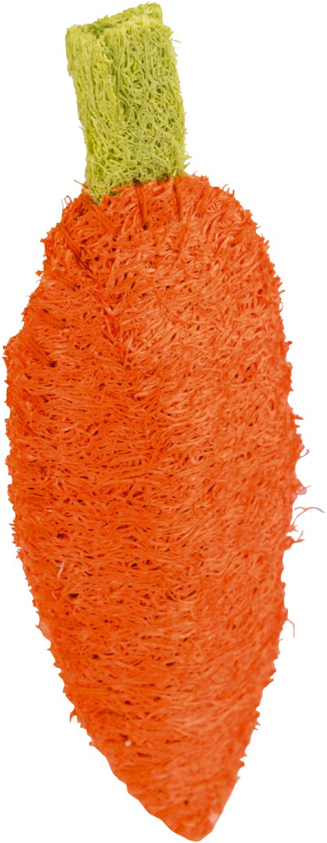 Karotte Luffa 10 cm, orange 4 Stk.