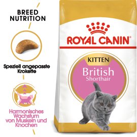 ROYAL CANIN Katzentrockenfutter British Shorthair Kitten 10 kg