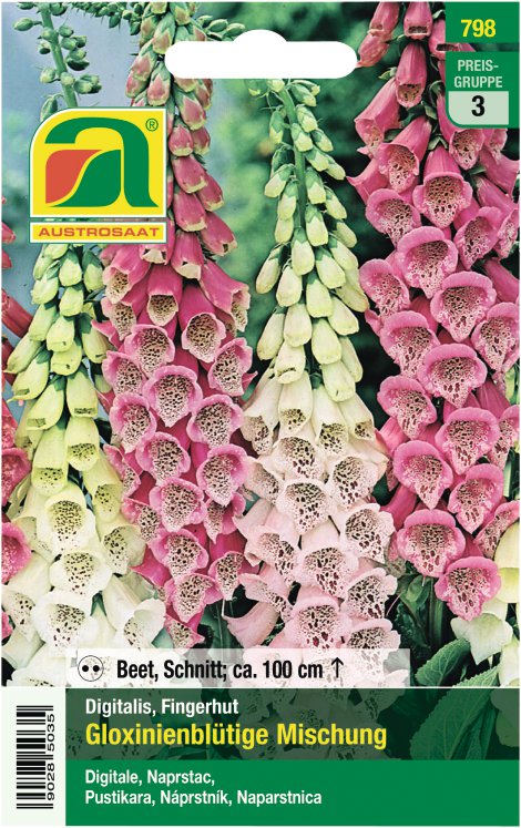 Digitalis Fingerhut Mischung
