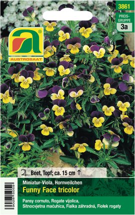 Tütensamen Mini-Viola Funny Face tricolor