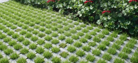 EBENSEER Rasenstabil Naturgrau 39,6x39,6x8 cm (LxBxH)