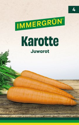 IMMERGRÜN Tütensamen Karotte Juwarot