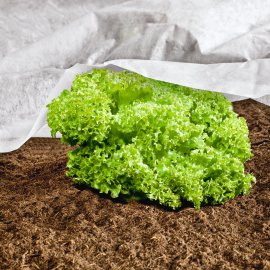 WINDHAGER Wachstumsvlies ÖKO