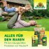 Bild vergrößern
