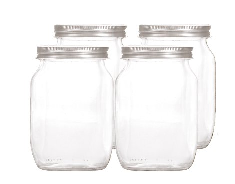 Multiflasche Myrex Silber 250 ml 4 Stk.