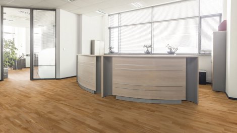 EUROWOOD Parkett Schiffboden Eiche natur lackiert 2200x192x14 mm