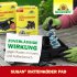 Bild vergrößern