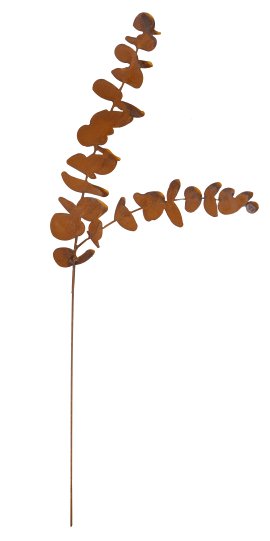 Topfstecker Eukalyptus 78x30 cm