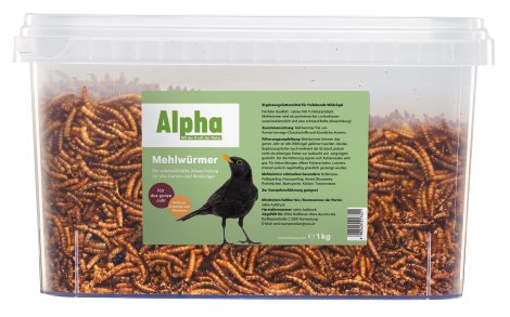 ALPHA Wildvogel Mehlwurm 1 kg/Eimer