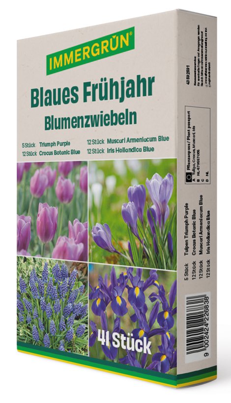 IMMGERGRÜN Blumenzwiebel