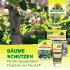 Bild vergrößern
