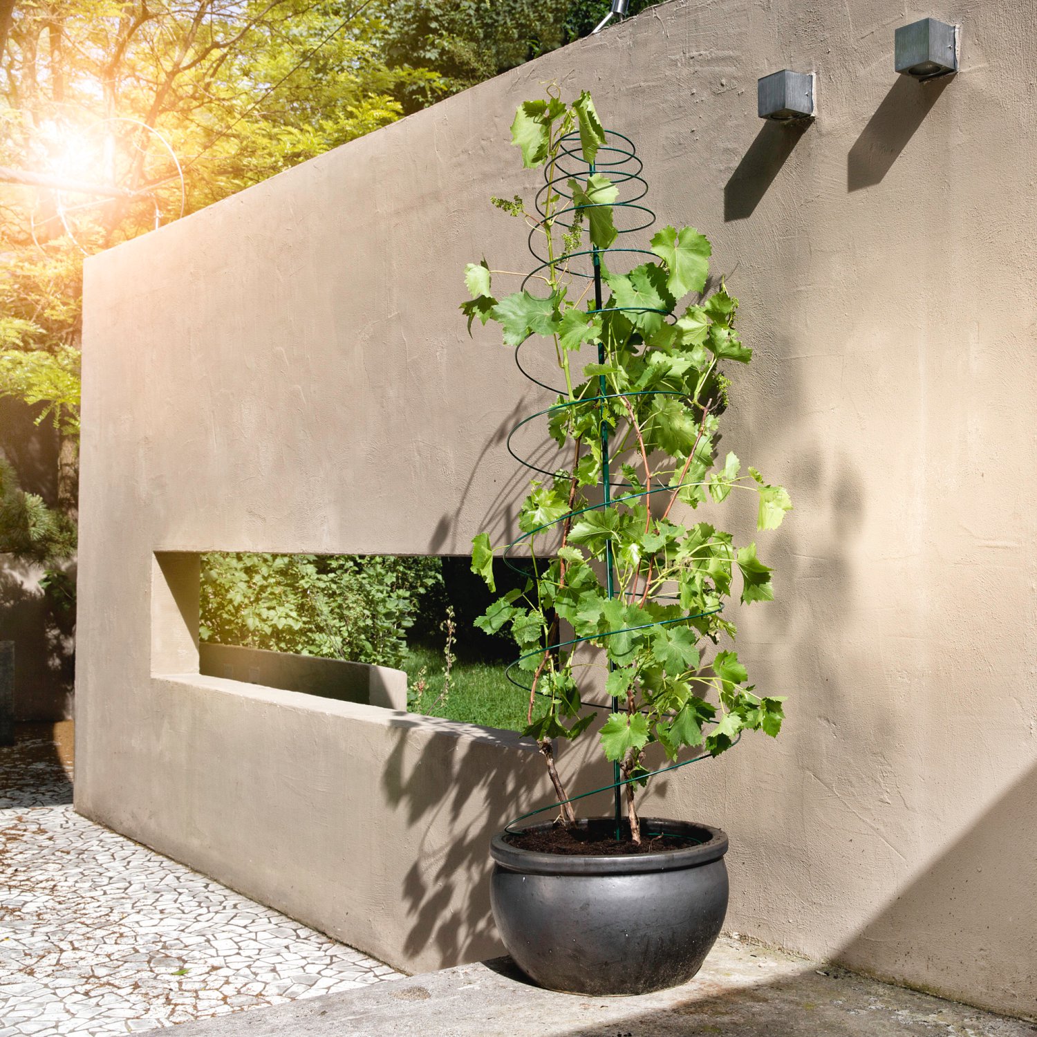 WINDHAGER Rankspirale Ø 50x150 cm