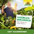 Bild vergrößern
