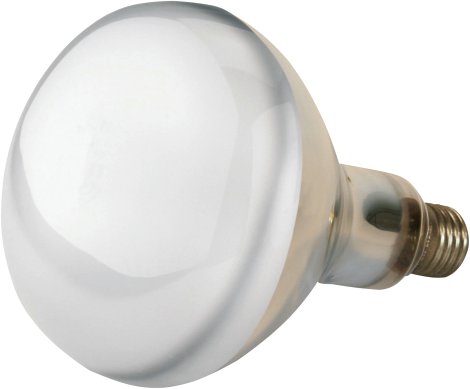 KERBL Hartglas-Infrarotlampe 250W, klar