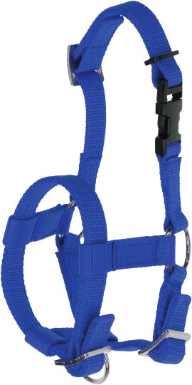 Alpaka-Halfter, blau