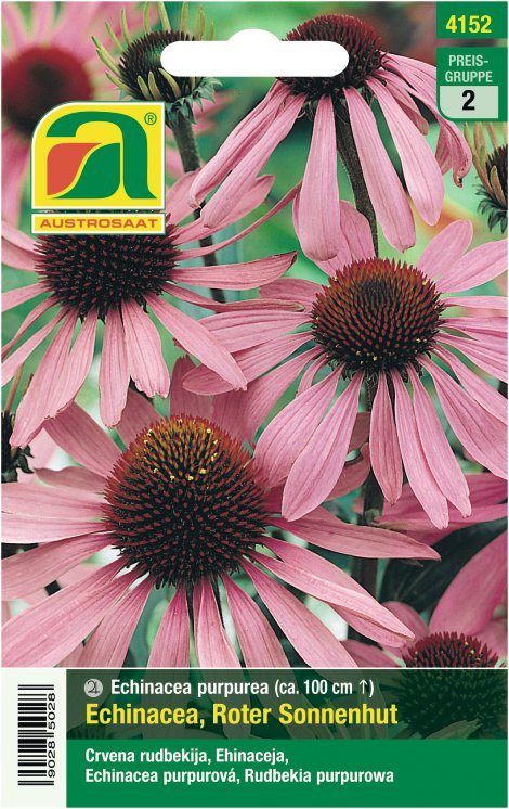 Echinacea Roter Sonnenhut