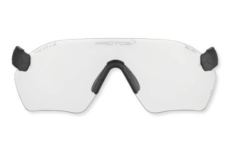 Protos Integral Schutzbrille klar