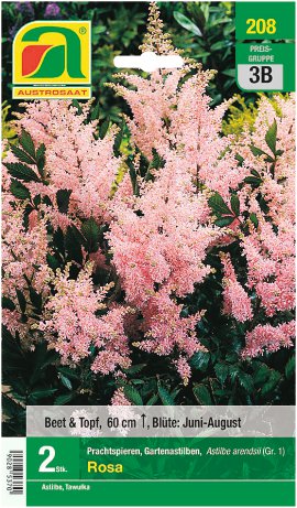 AUSTROSAAT Blumenzwiebel Frühjahr