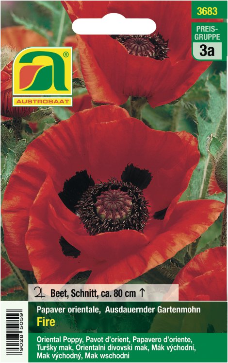 Papaver orientale Fire