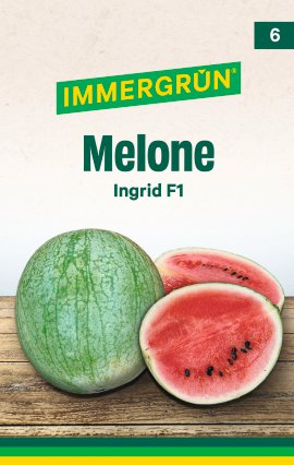 IMMERGRÜN Tütensamen Melone Ingrid F1