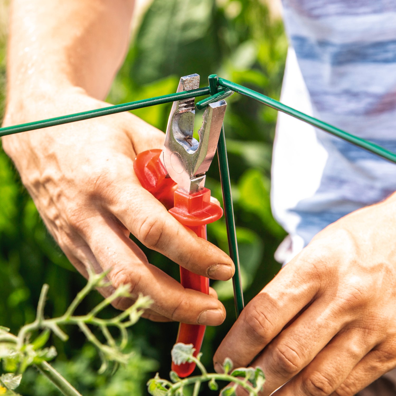 WINDHAGER Tomatenturm 4-tlg.