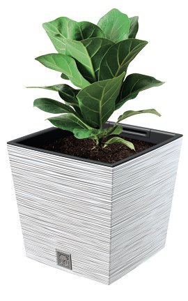 Pflanztopf Ecowood weiß 24x24 cm
