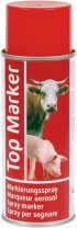 Bild vergrößern