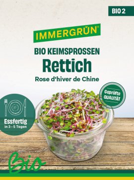 IMMERGRÜN Tütensamen BIO Sprossen Rettich