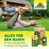 Bild vergrößern