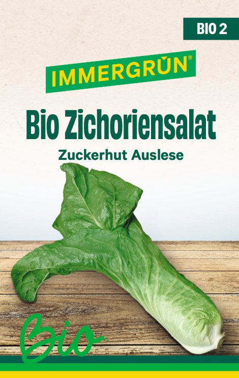 IMMERGRÜN Tütensamen BIO Zichoriensalat Zuckerhut Auslese