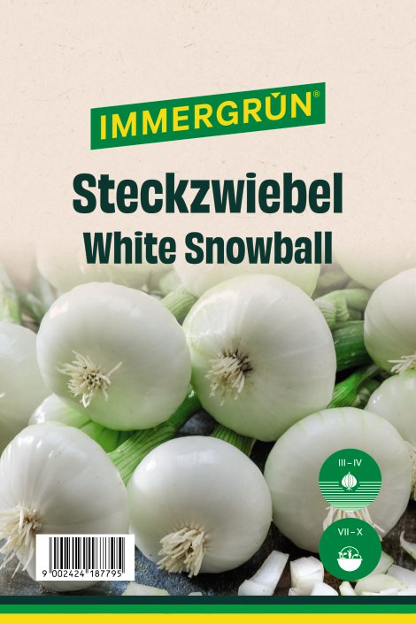 IMMERGRÜN Steckzwiebel White Snowball 250 g