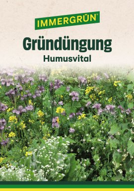 IMMERGRÜN Tütensamen Humusvital 74 g