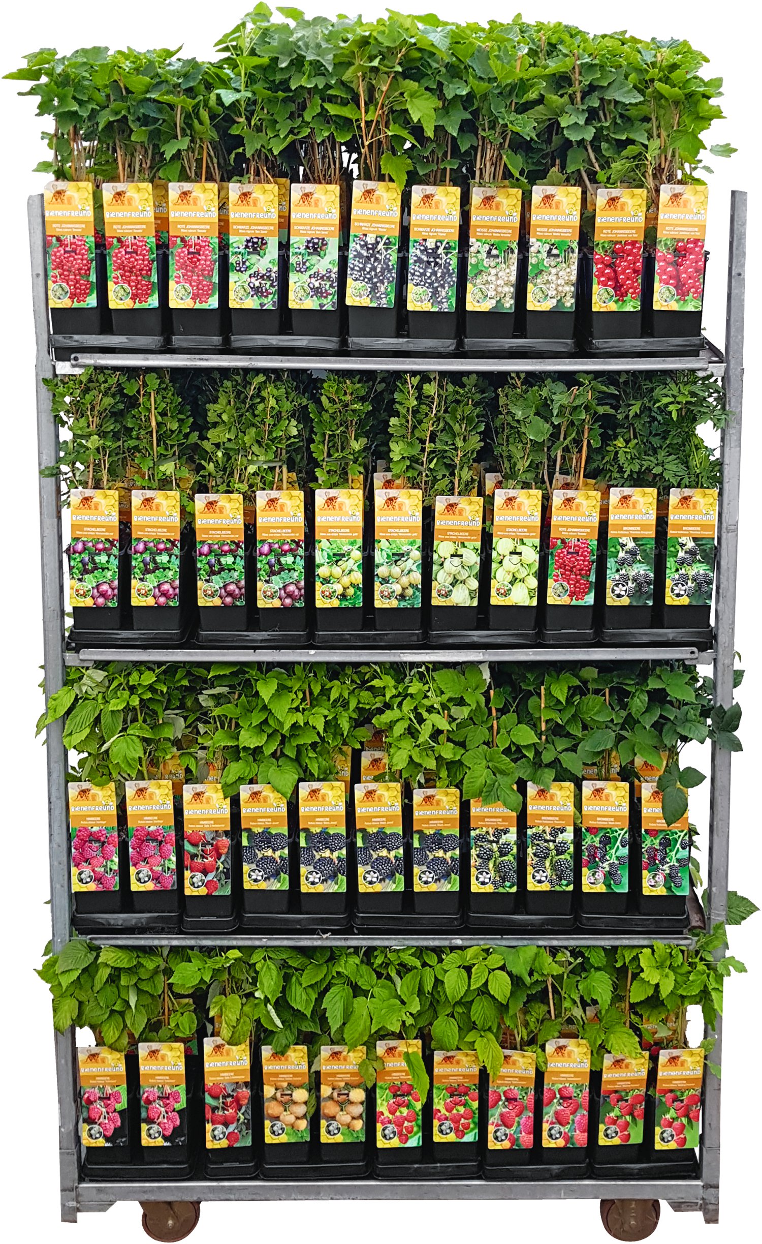 Bienenfreund Beerenobst-Mix