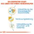 Bild vergrößern