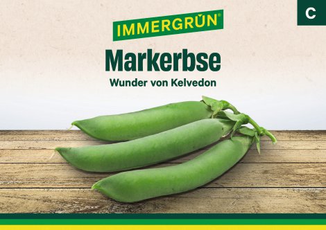 IMMERGRÜN Tütensamen Erbse Wunder von Kelvedon
