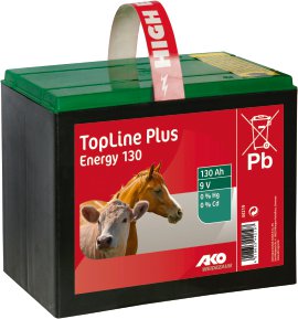 Trockenbatterie Zink- Luft 130 AH