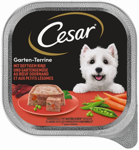 CESAR Hundenassfutter Rind & Gemüse 300 g